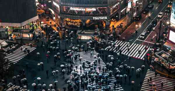 属鼠2025年9月15日运势,属鼠人2025年9月15日财运,生肖鼠2025年9月15日运势